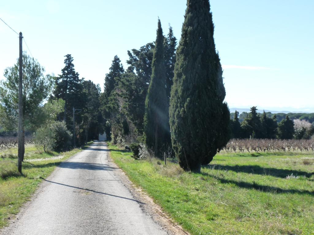 Chateau La Bouriette Moussoulens エクステリア 写真