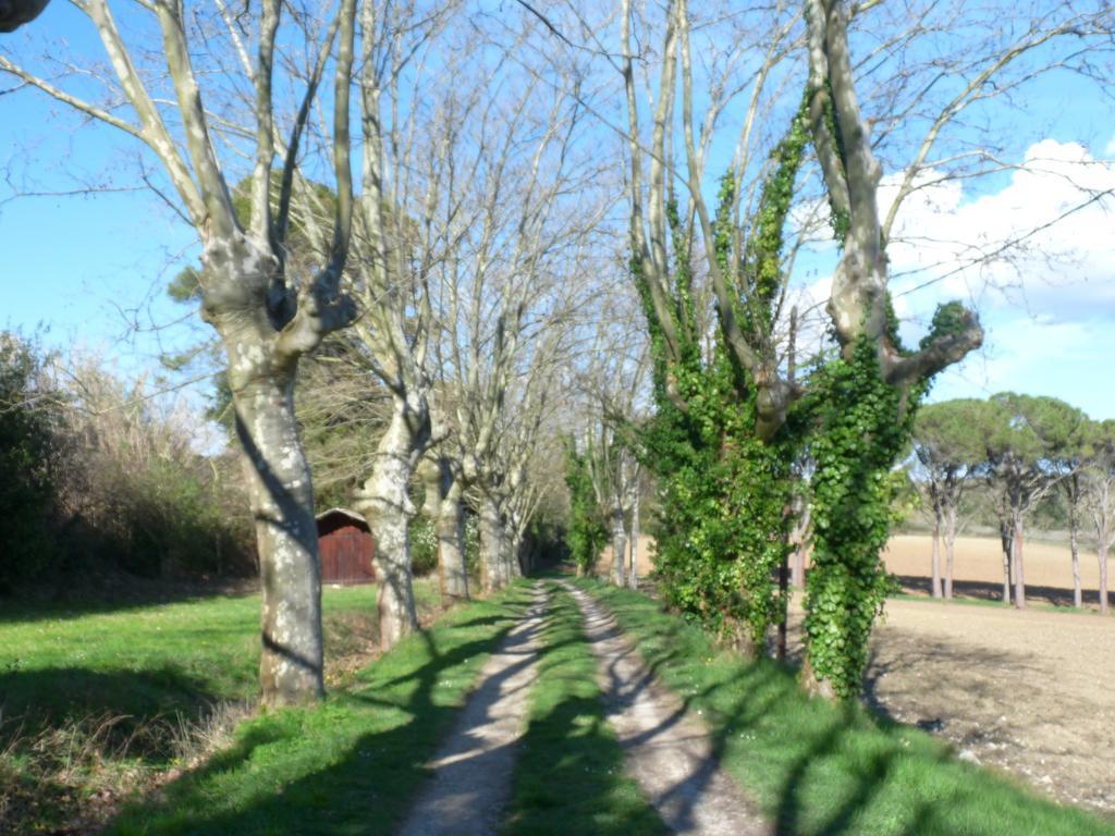Chateau La Bouriette Moussoulens エクステリア 写真